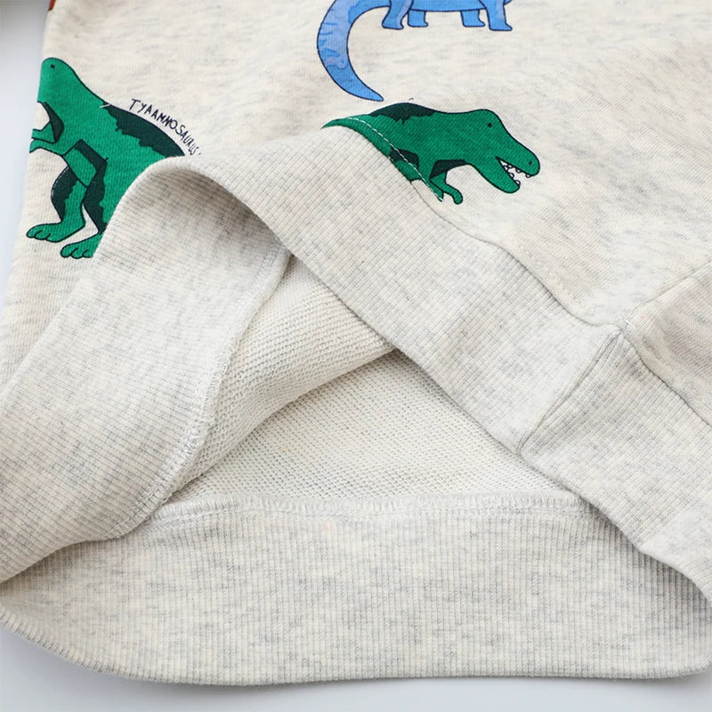 Boys Dinosaurs Jumper