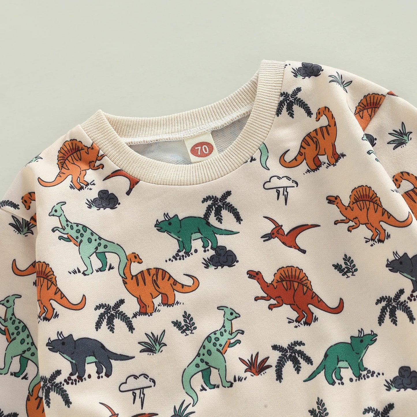 Dinosaur Boy Long Sleeve Lounge Set