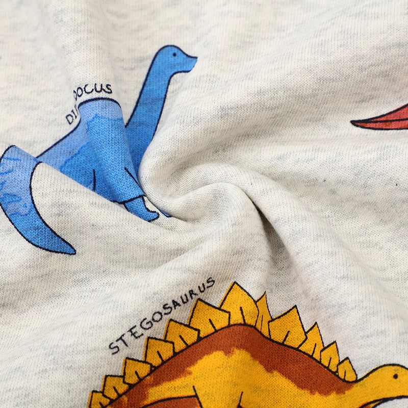 Boys Dinosaurs Jumper