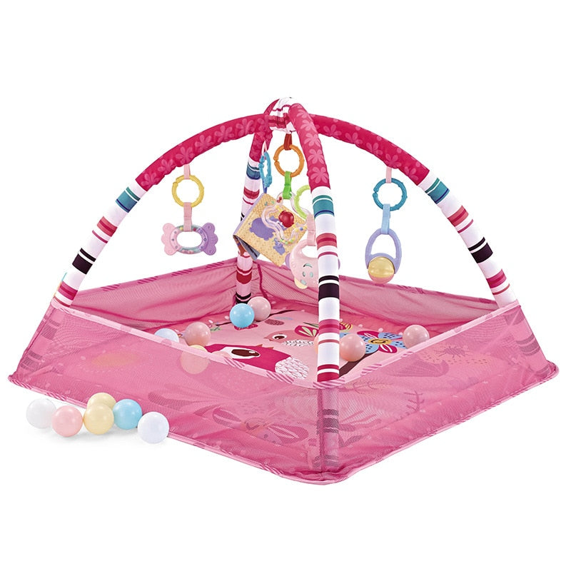 Baby Play Gym