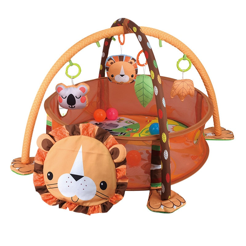 Baby Play Gym