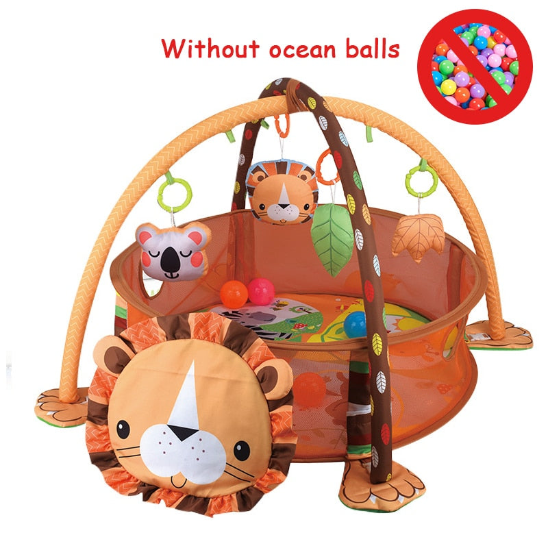 Baby Play Gym