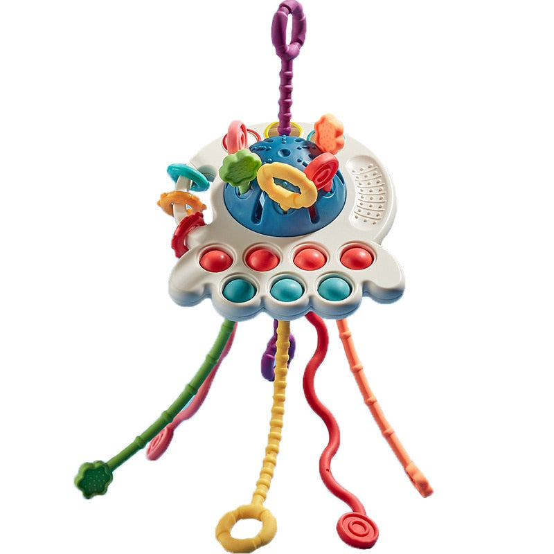 Baby Sensory Toy