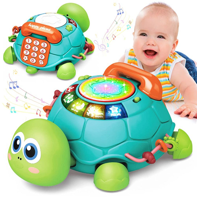 Musical Turtle Toy