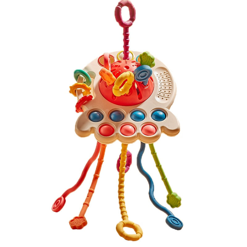 Baby Sensory Toy