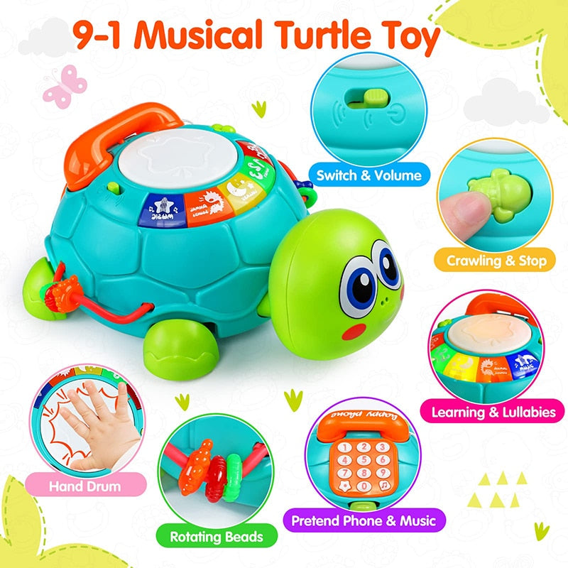 Musical Turtle Toy