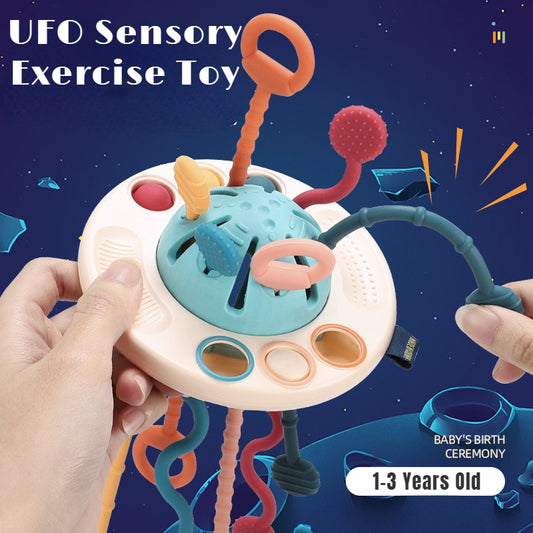 Baby Sensory Toy