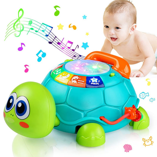 Musical Turtle Toy