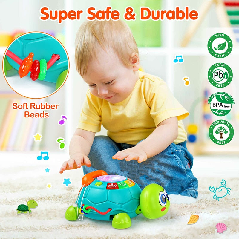 Musical Turtle Toy